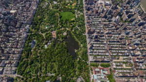 Aerial view of Central Park New York City, NY